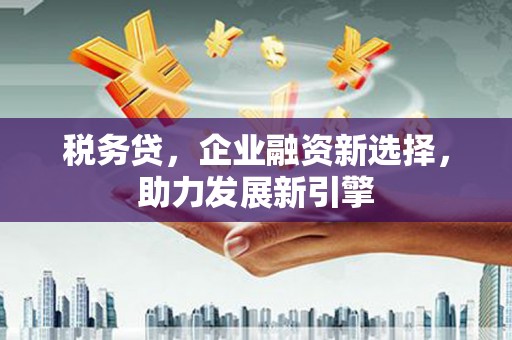 九龙税务贷，企业融资新选择，助力发展新引擎