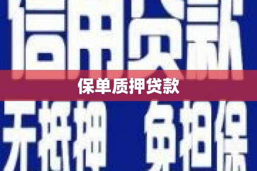 沿滩保单质押贷款