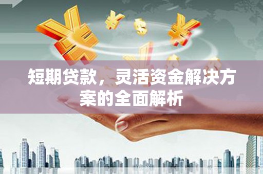大安短期贷款，灵活资金解决方案的全面解析