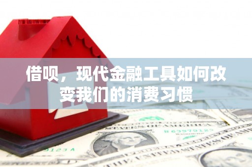 台西借呗，现代金融工具如何改变我们的消费习惯