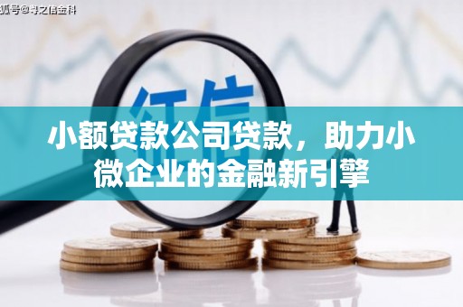 仙桃小额贷款公司贷款，助力小微企业的金融新引擎