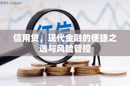 五桂山信用贷，现代金融的便捷之选与风险管控