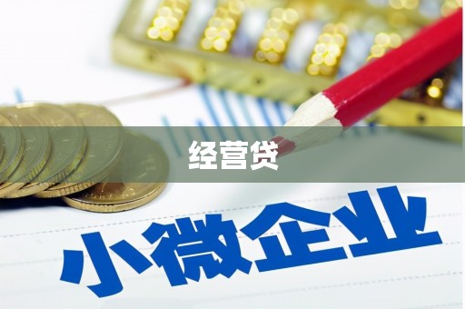 留坝经营贷