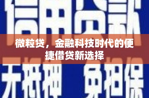 白水微粒贷，金融科技时代的便捷借贷新选择