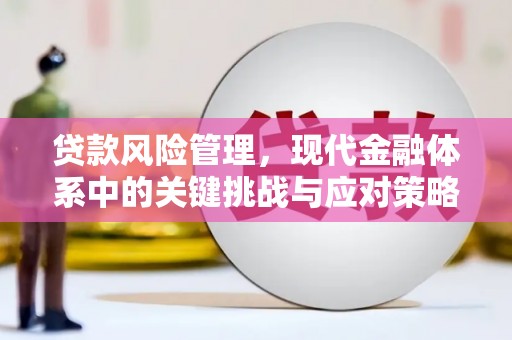 固阳贷款风险管理，现代金融体系中的关键挑战与应对策略