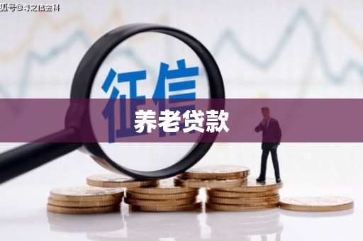 南京养老贷款