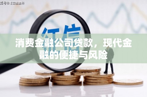 苑里消费金融公司贷款，现代金融的便捷与风险