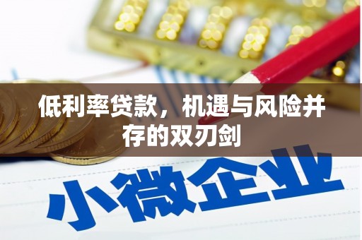 渭城低利率贷款，机遇与风险并存的双刃剑
