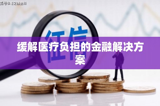 师宗缓解医疗负担的金融解决方案