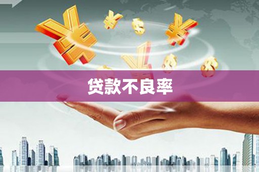 长寿贷款不良率