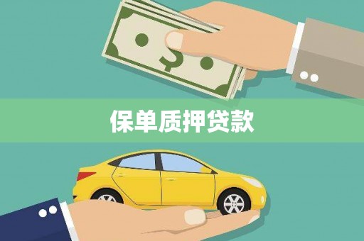 揭阳保单质押贷款