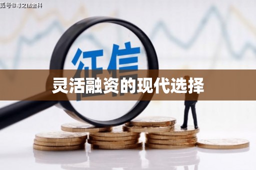 镇赉灵活融资的现代选择