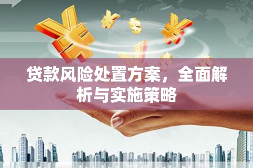 泸州贷款风险处置方案，全面解析与实施策略