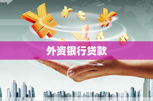 赫山外资银行贷款