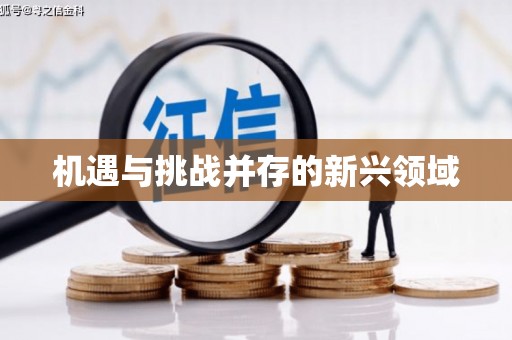 思南机遇与挑战并存的新兴领域