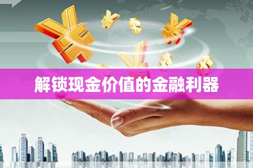 雷州解锁现金价值的金融利器
