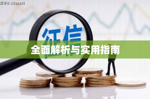 中山全面解析与实用指南