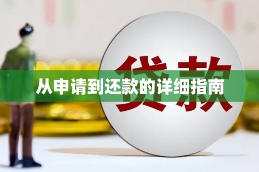 石龙从申请到还款的详细指南