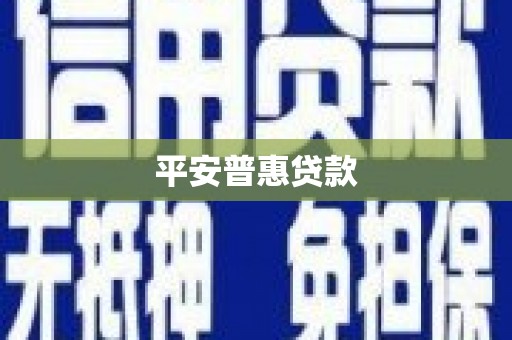 洋县平安普惠贷款