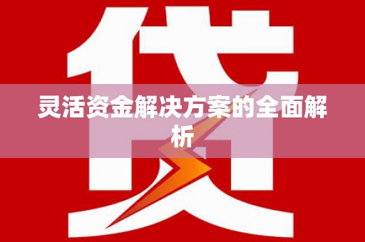 瑞芳灵活资金解决方案的全面解析
