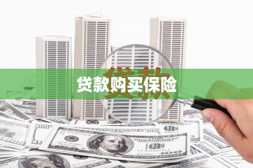 康县贷款购买保险