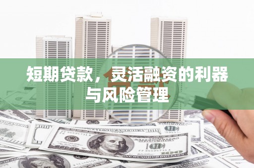 汝南短期贷款，灵活融资的利器与风险管理