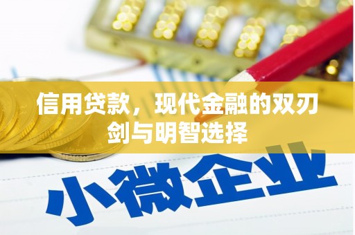 盐埕信用贷款，现代金融的双刃剑与明智选择